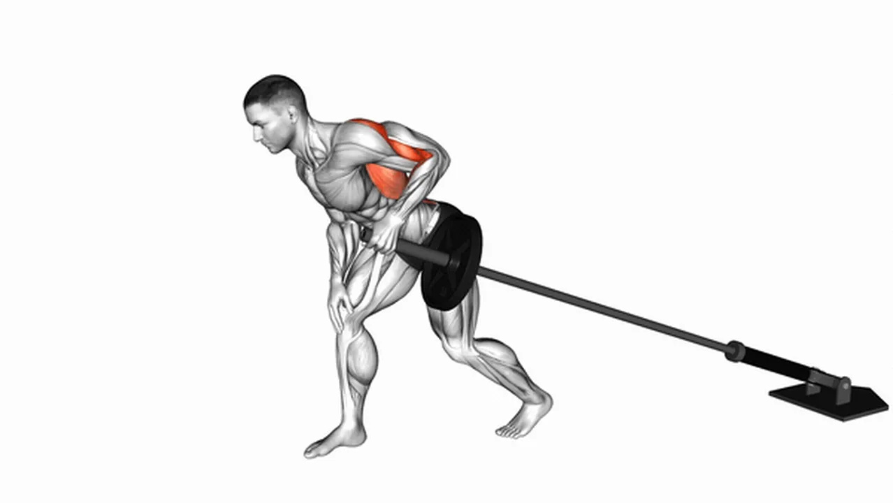 Common Barbell One-Arm Bent-Over Row variations Image