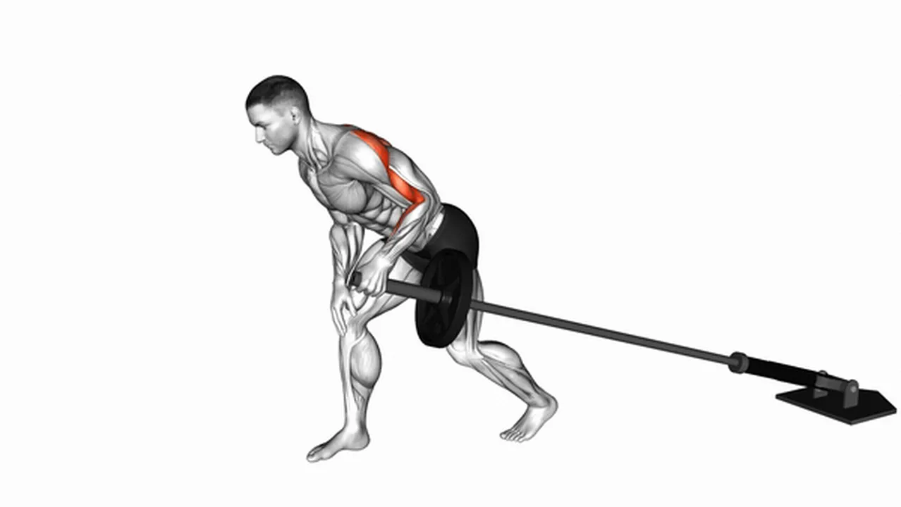 Common mistakes during Barbell One-Arm Bent-Over Rows Image