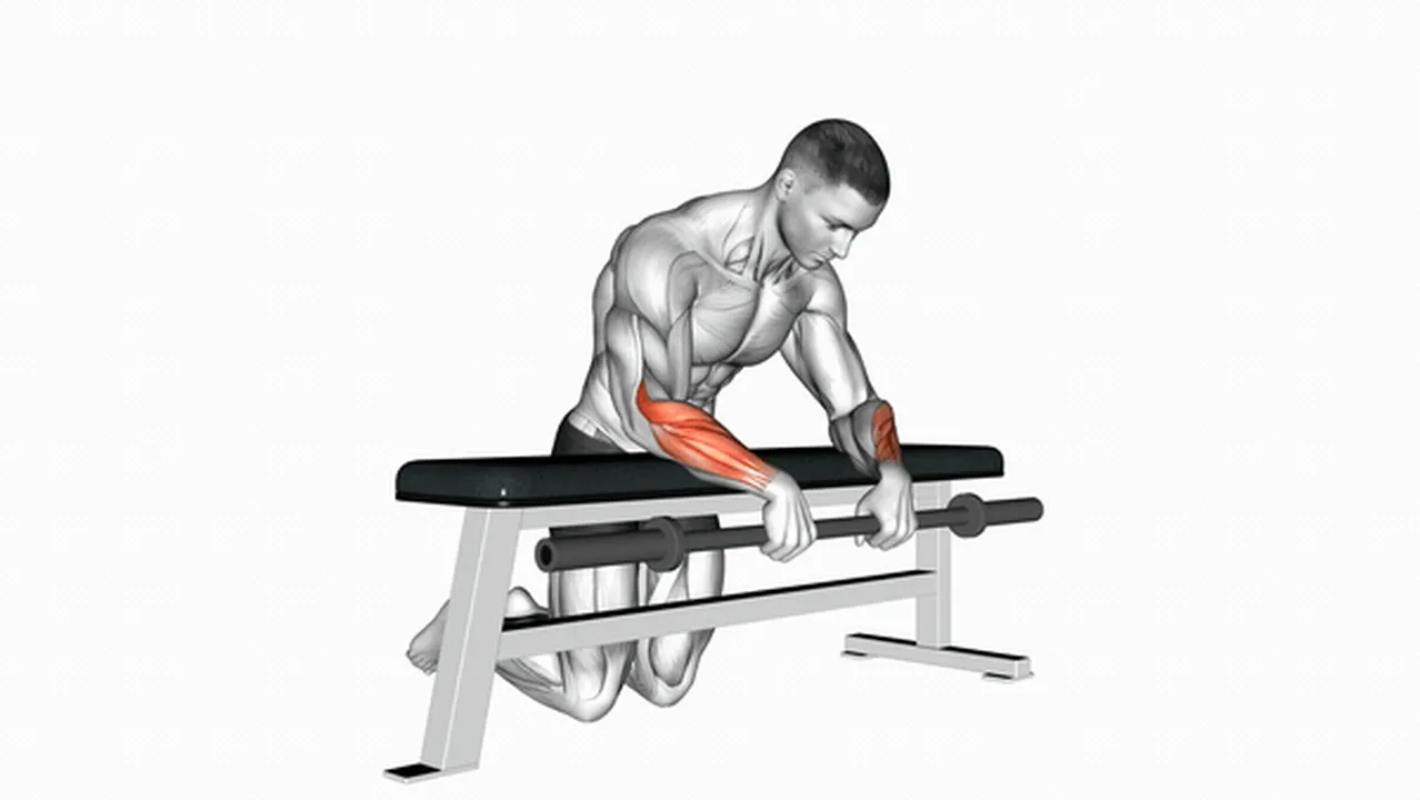 What are the benefits of the Barbell Palms Down Wrist Curl Over A Bench? Image