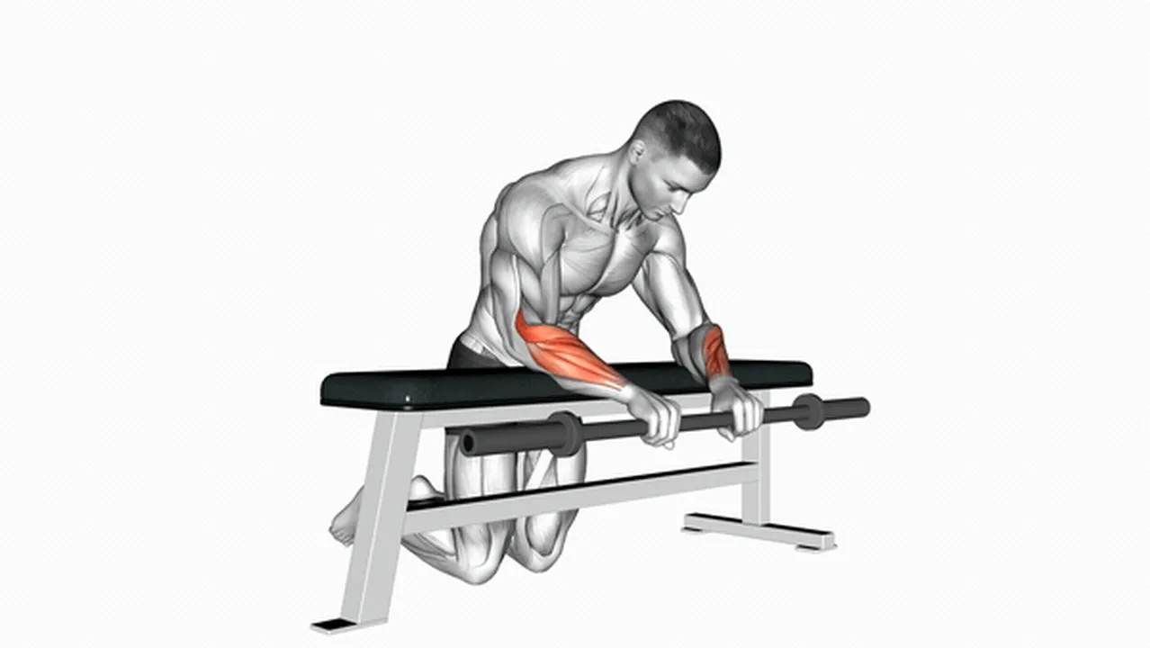 How to do the Barbell Palms Down Wrist Curl Over A Bench? Image