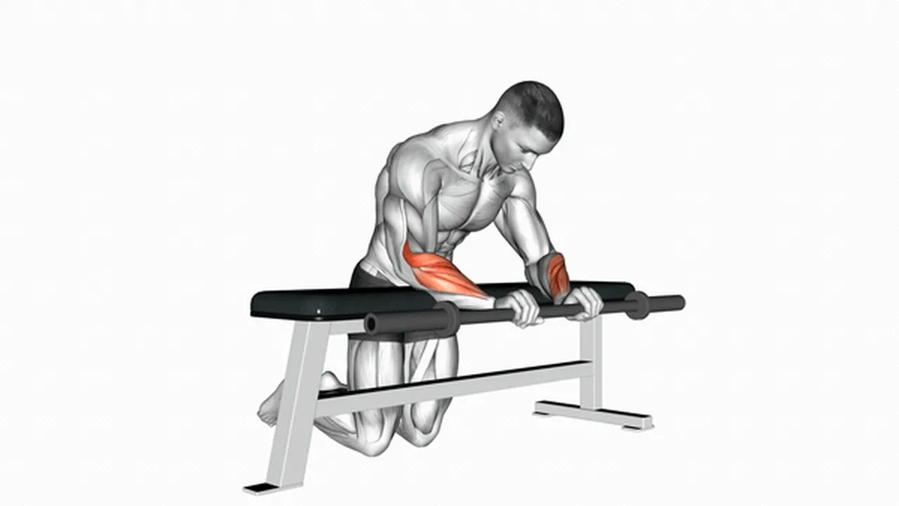 Common Barbell Palms Down Wrist Curl Over A Bench variations Image