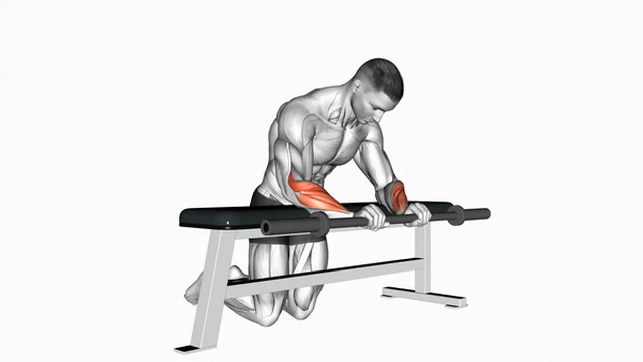 Alternatives to Barbell Palms Down Wrist Curl Over A Bench Image