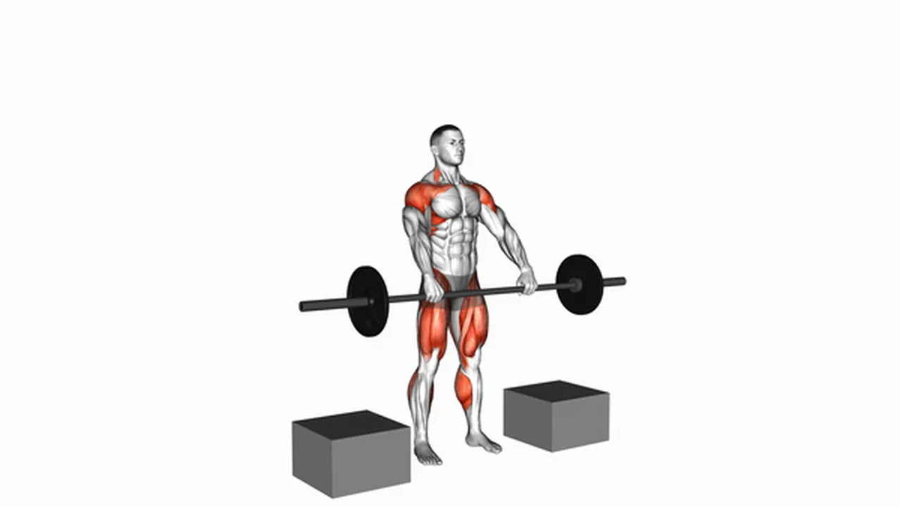 Alternatives to the Barbell Power Snatch From Blocks Image