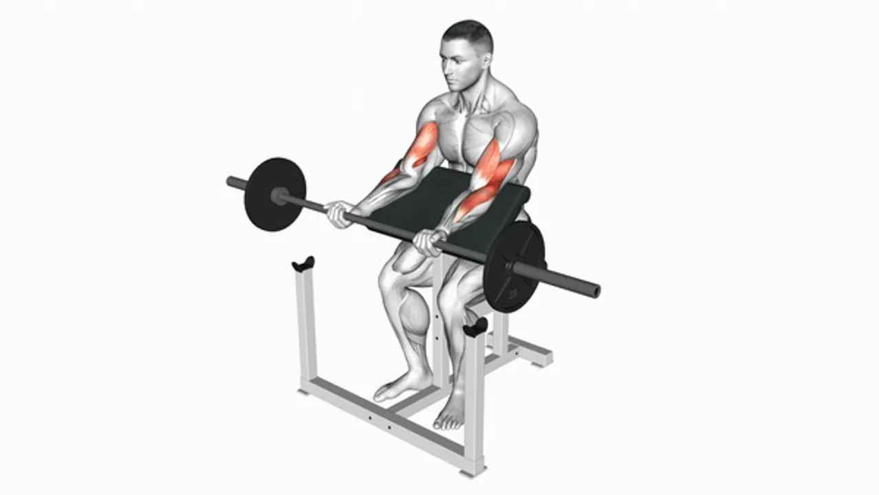 Barbell Preacher Curl