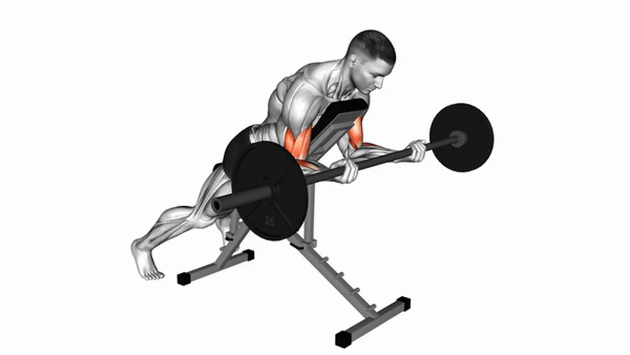 How to do Barbell Prone Incline Curls? Image