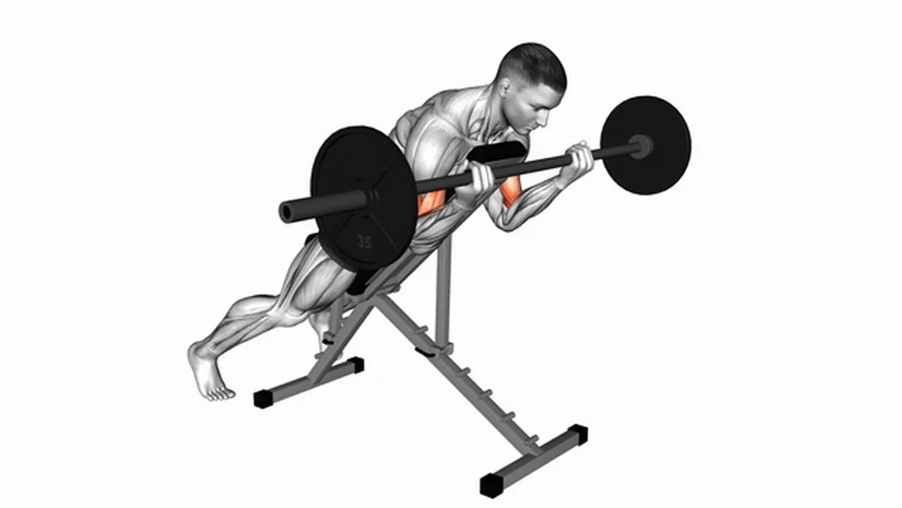 Common Barbell Prone Incline Curl variations Image