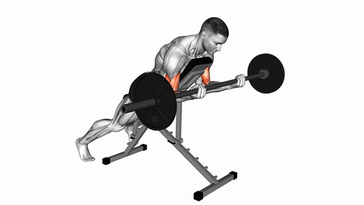 Alternatives to Barbell Prone Incline Curls Image