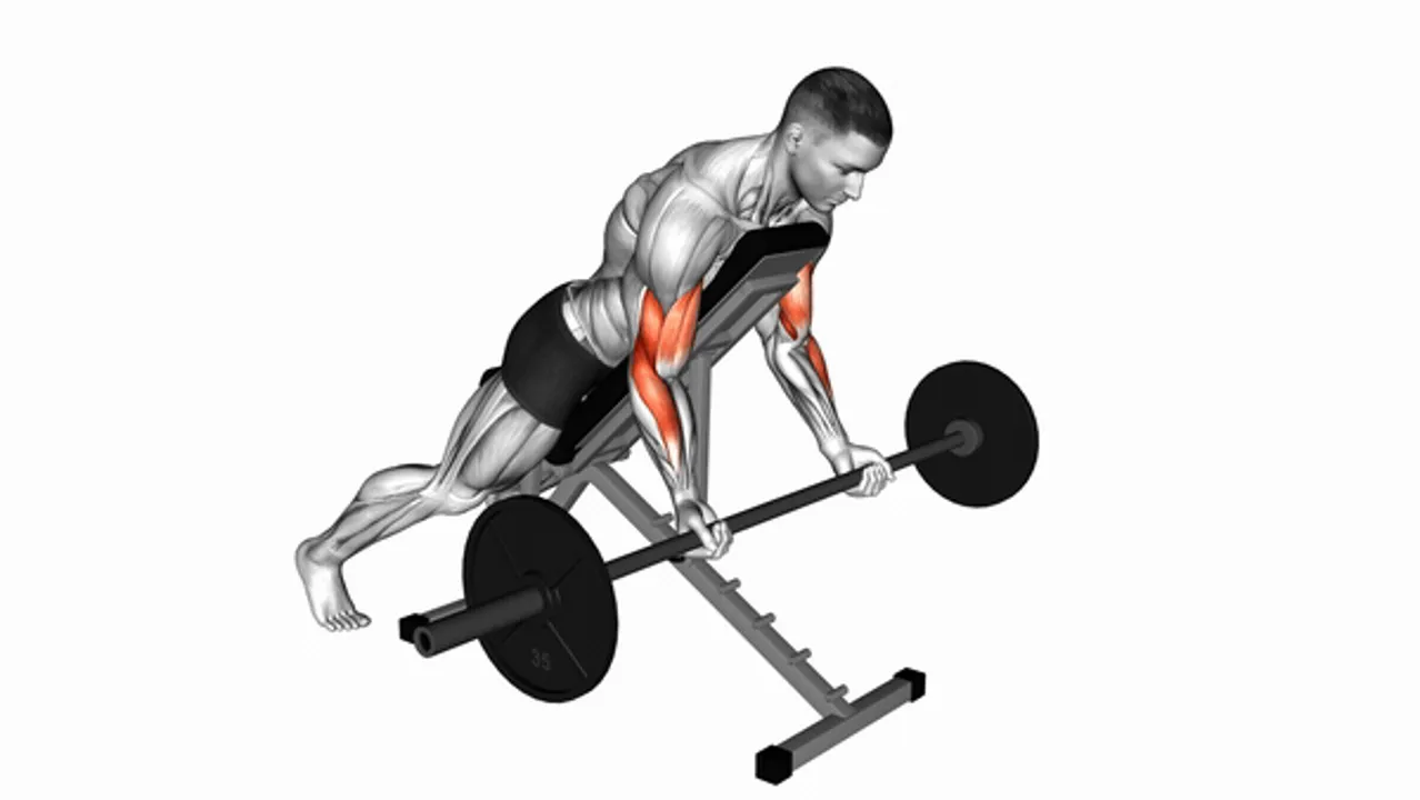 Barbell Prone Incline Curl