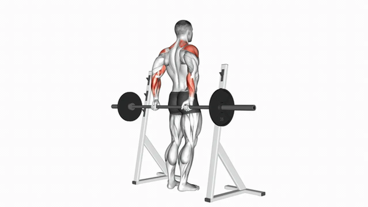 Alternatives to Barbell Rear Delt Raises Image