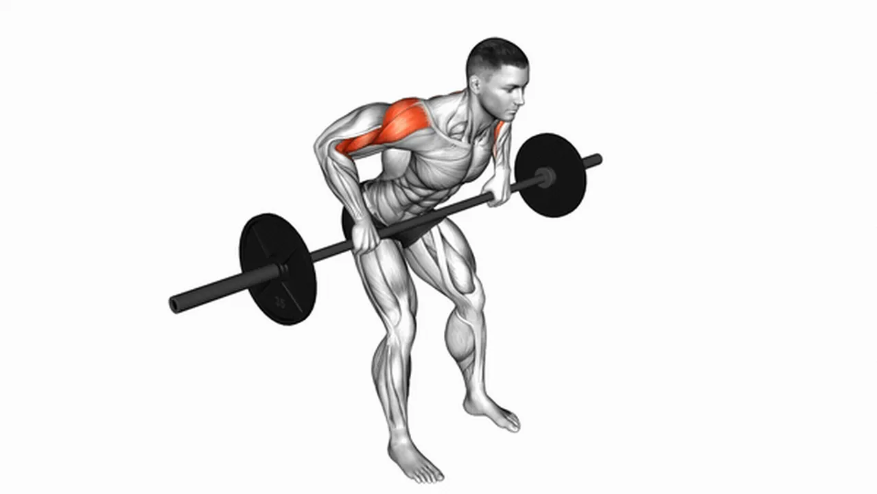 Common Barbell Rear Delt Row variations Image