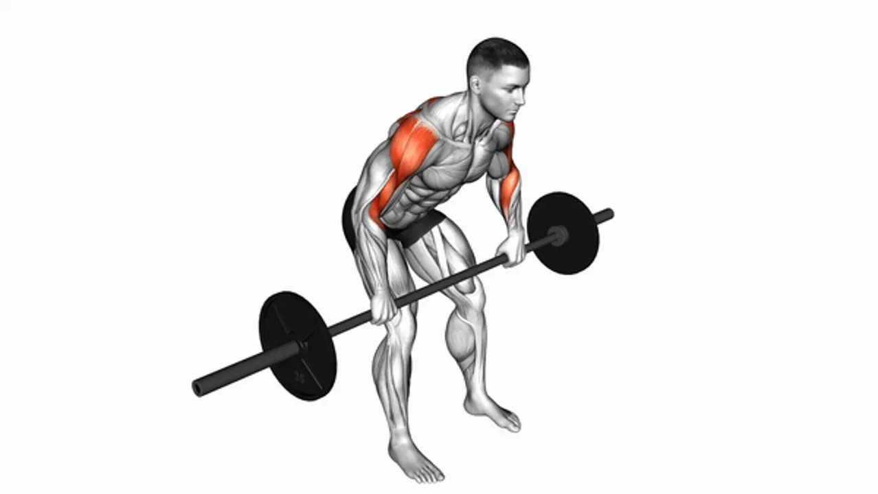 Barbell Rear Delt Row