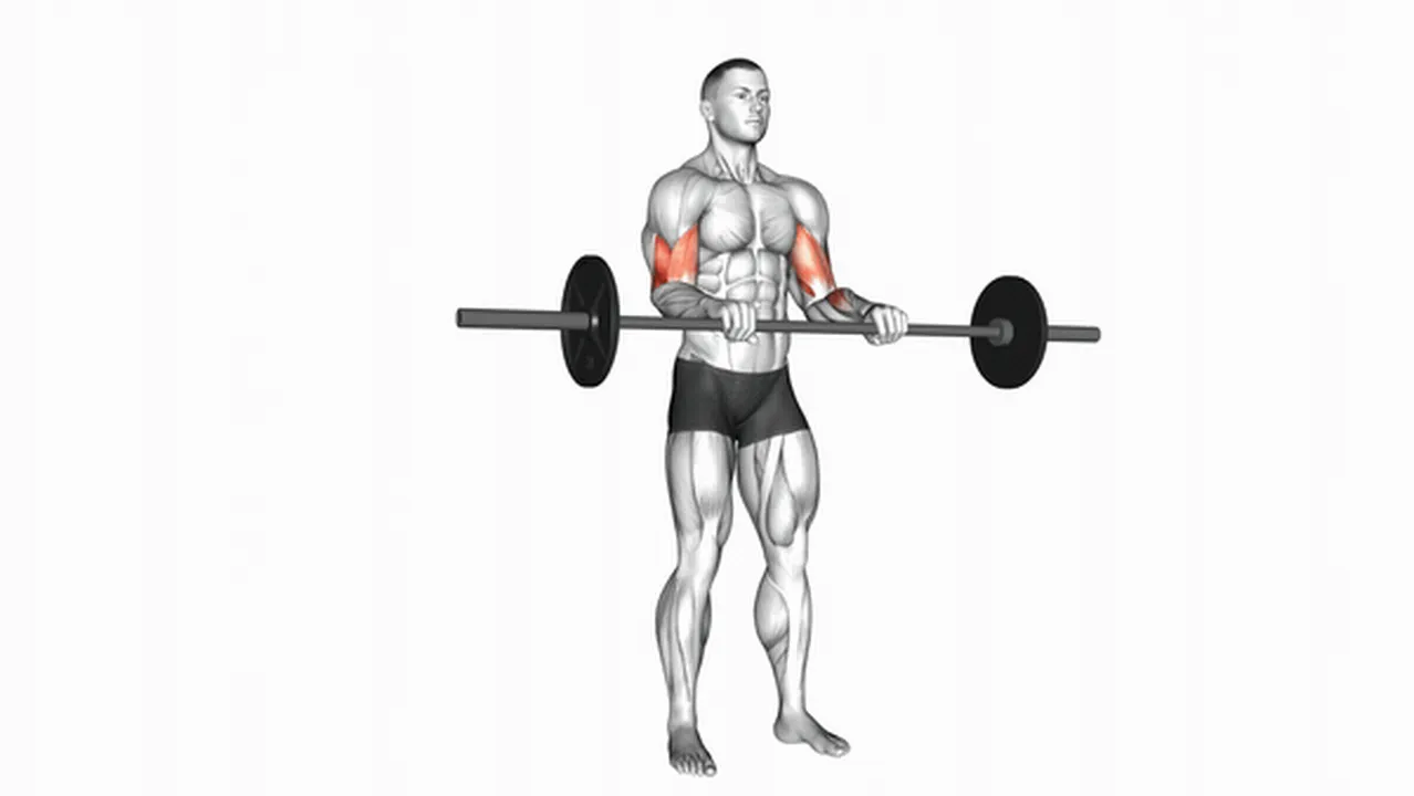 What are the benefits of barbell reverse curls? Image