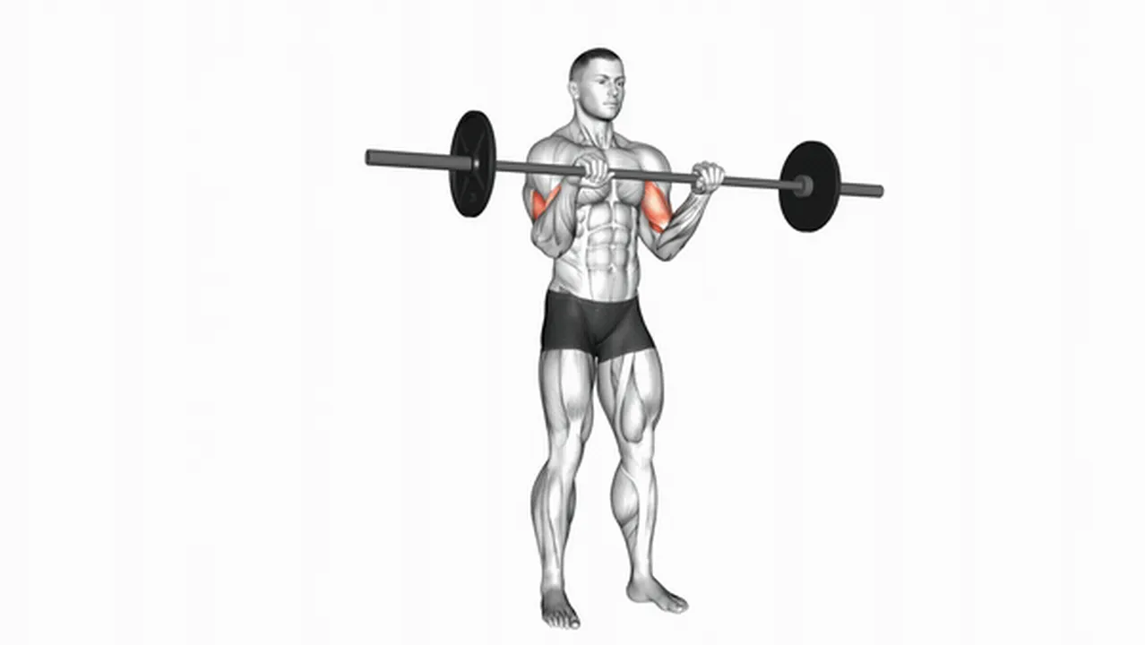 Common barbell reverse curl variations Image