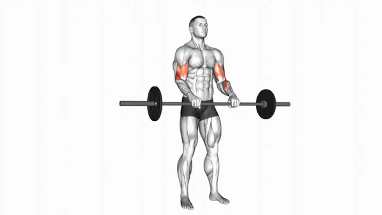 Barbell Reverse Curl