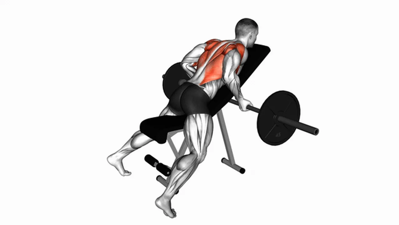 Alternatives to the Barbell Reverse Grip Incline Bench Row Image