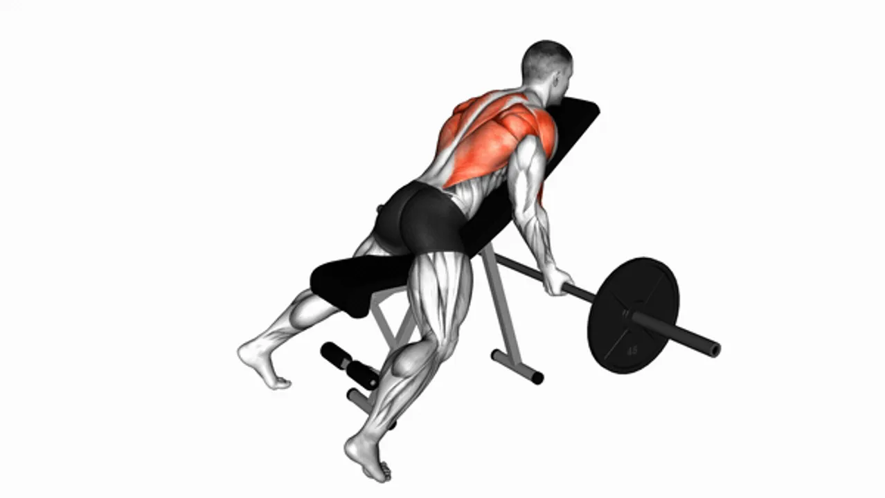 Barbell Reverse Grip Incline Bench Row