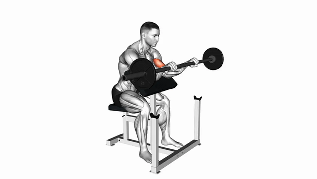 How to do Barbell Reverse Preacher Curls? Image