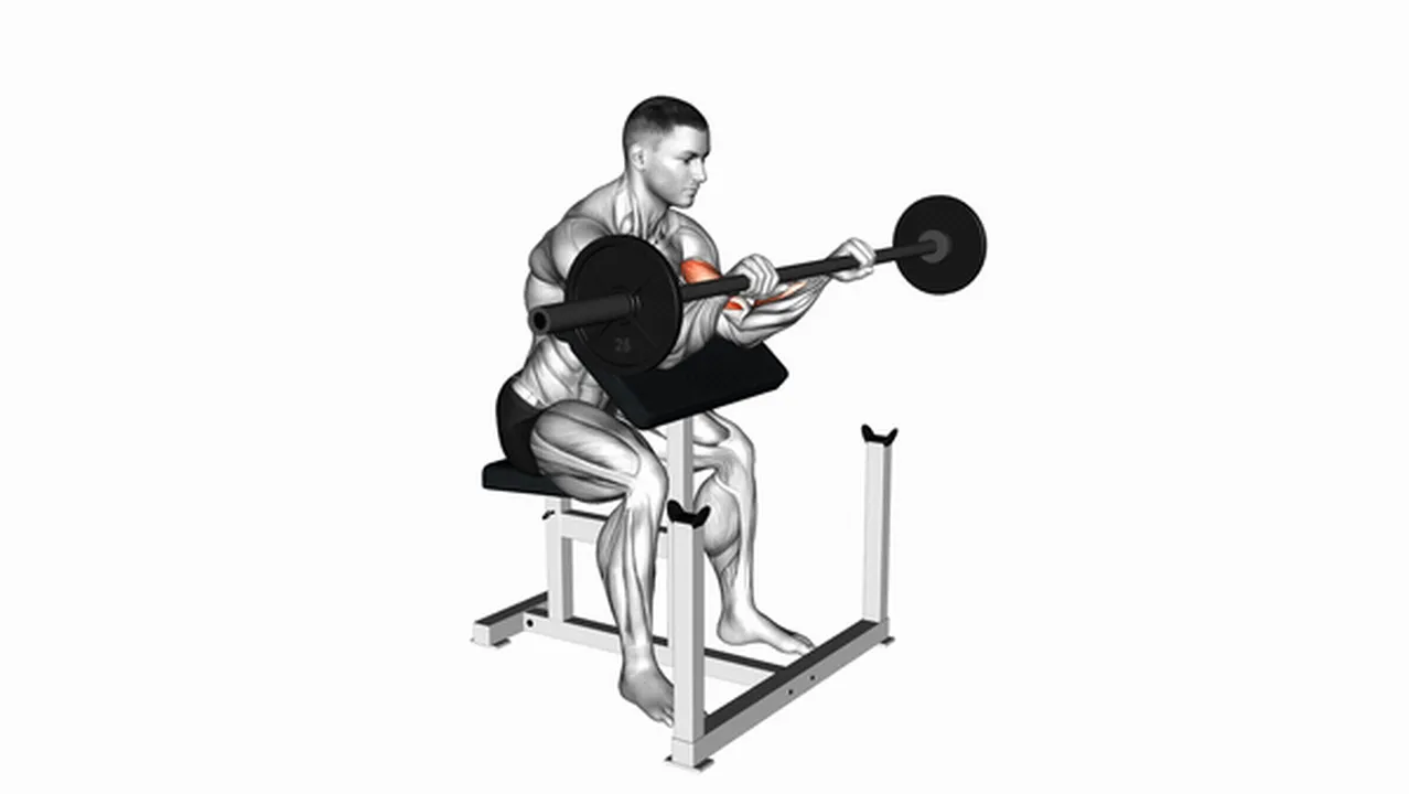 Alternatives to Barbell Reverse Preacher Curls Image