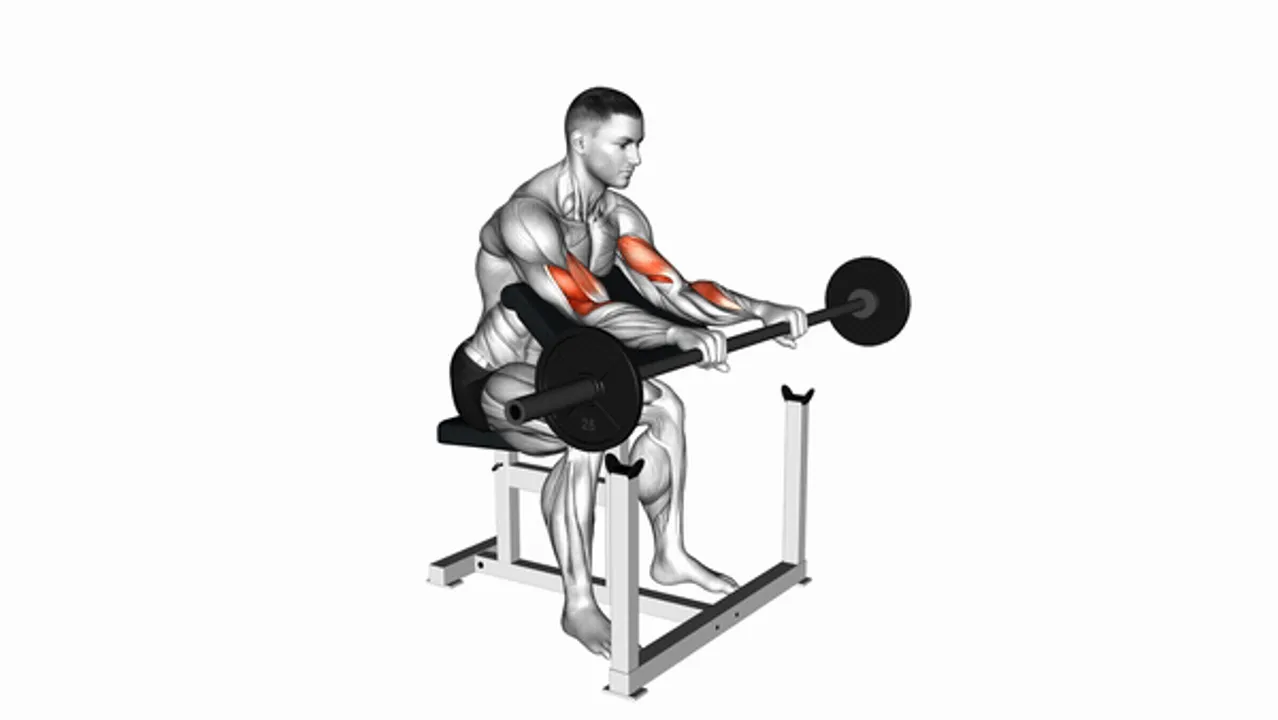 Barbell Reverse Preacher Curl