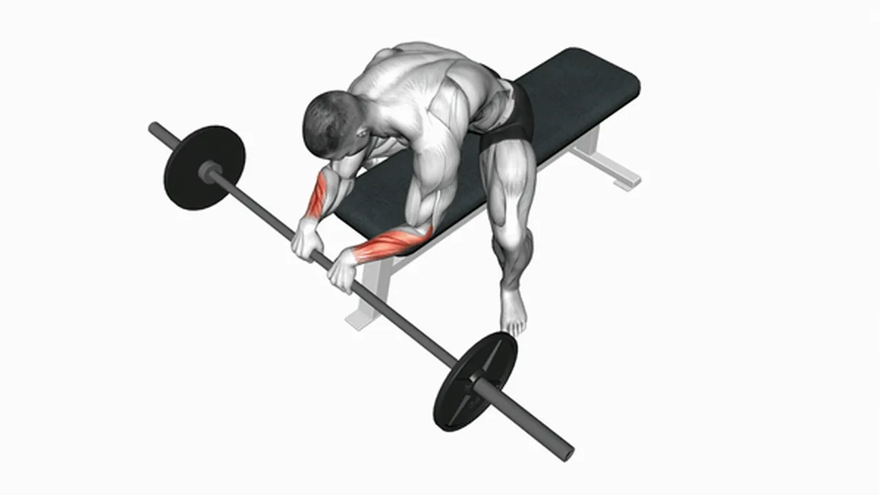 What are the benefits of barbell reverse wrist curls? Image