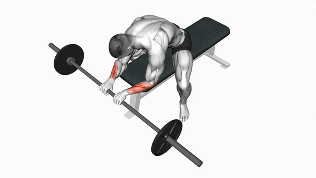 Common barbell reverse wrist curl variations Image