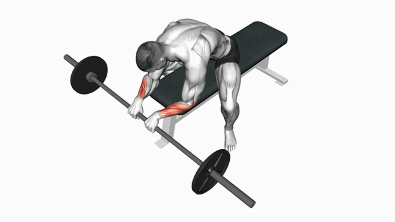 Barbell Reverse Wrist Curl