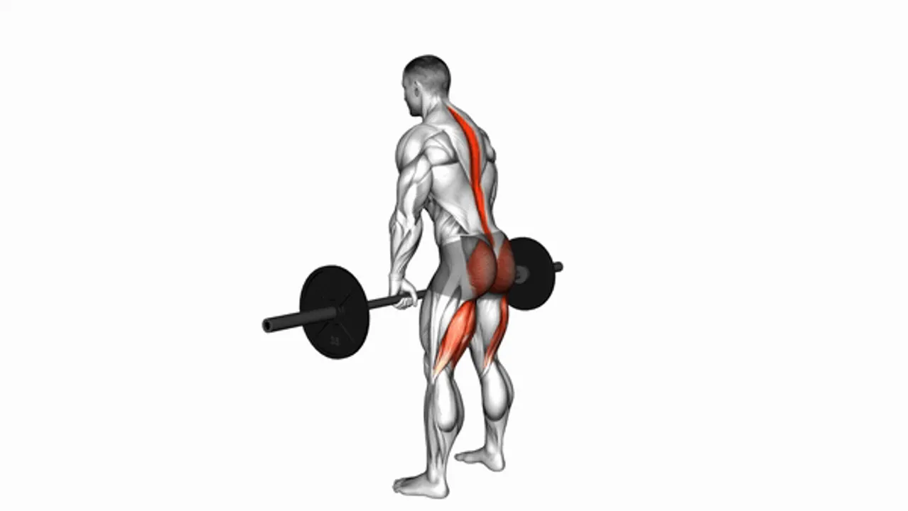 Barbell Romanian Deadlift