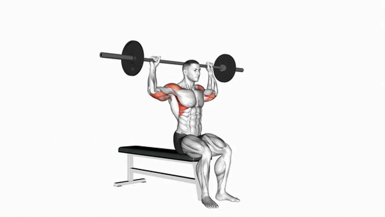 How to do the Barbell Seated Behind Head Military Press? Image