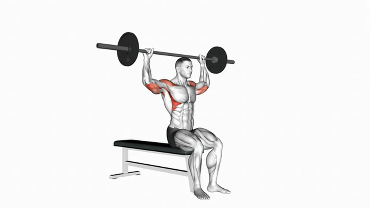 Common variations of the Barbell Seated Behind Head Military Press Image