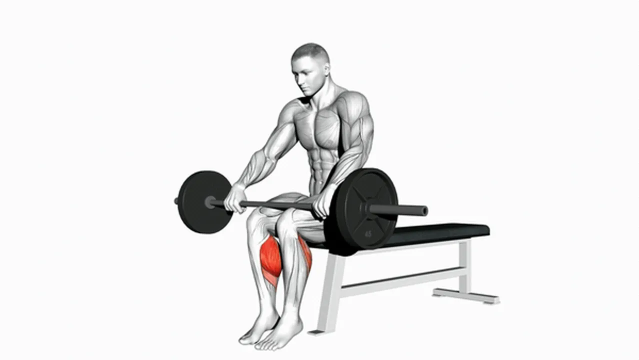 What are the benefits of the Barbell Seated Calf Raise? Image