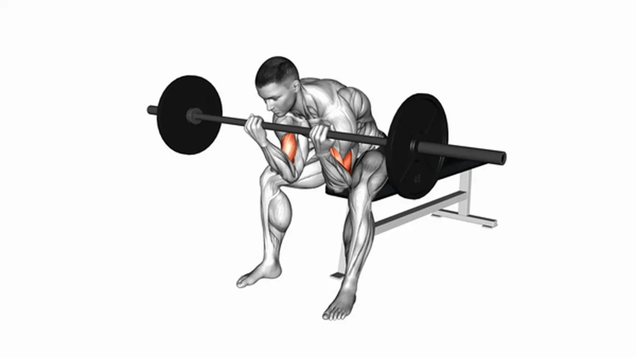 How to do Barbell Seated Close-Grip Concentration Curls? Image