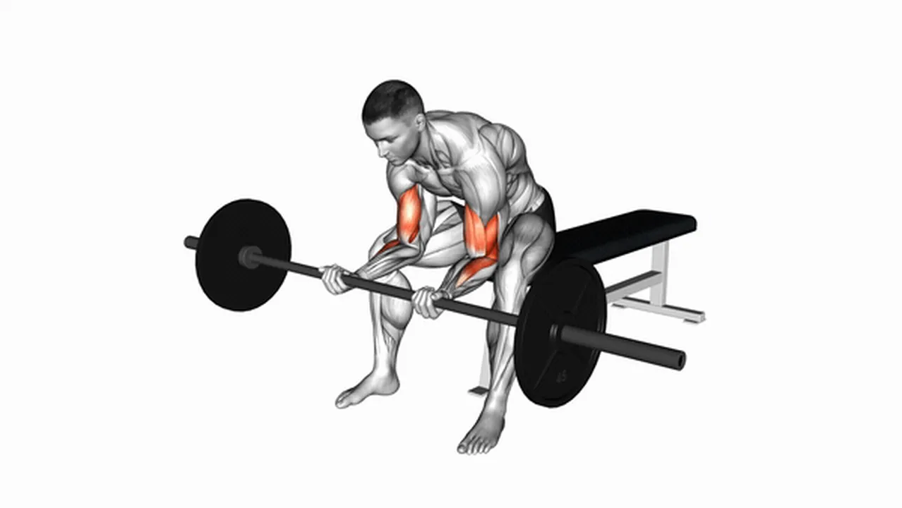 Common Barbell Seated Close-Grip Concentration Curl variations Image