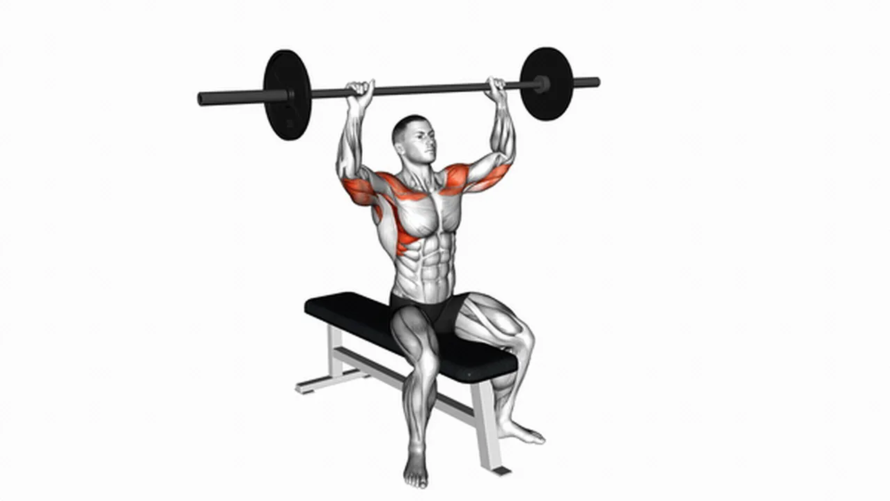 Common Barbell Seated Overhead Press variations Image