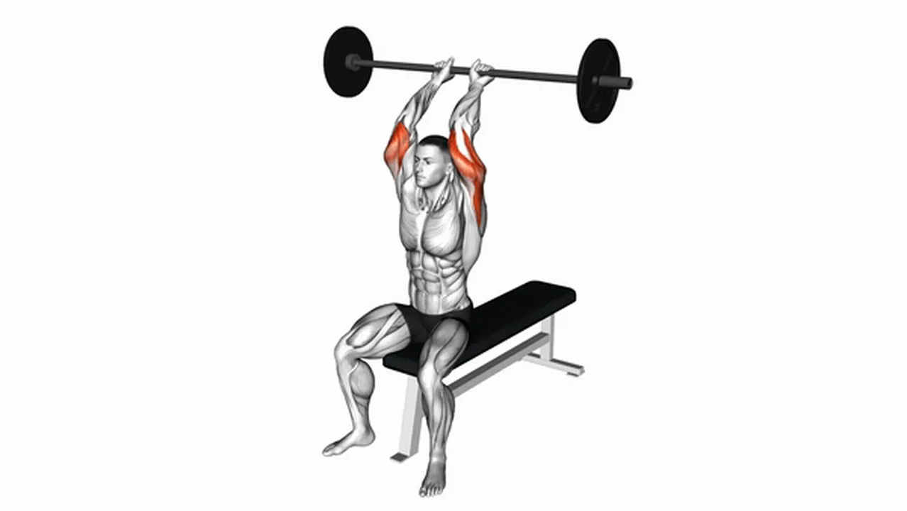 Common Barbell Seated Overhead Triceps Extension variations Image