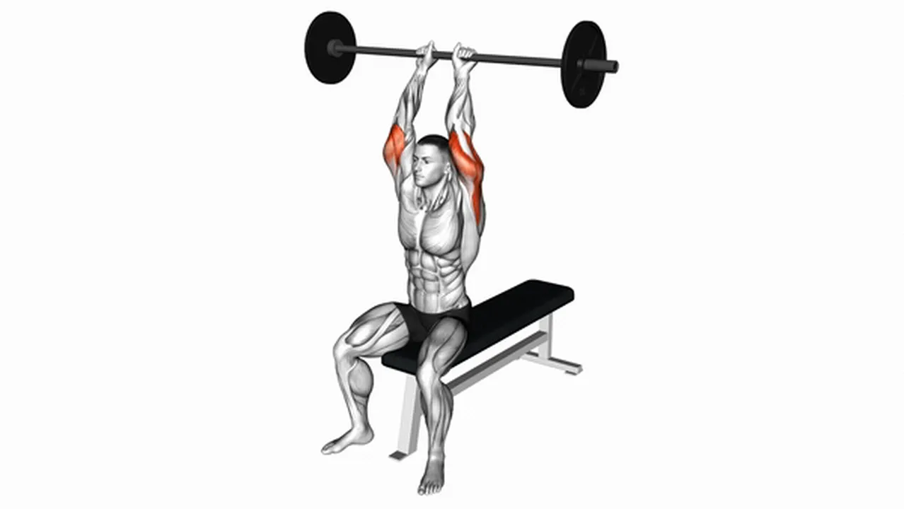 Alternatives to Barbell Seated Overhead Triceps Extensions Image