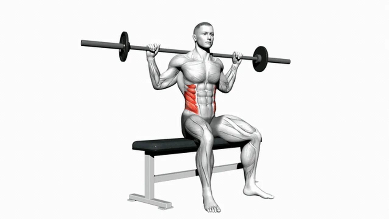 Common variations of the Barbell Seated Twist Image