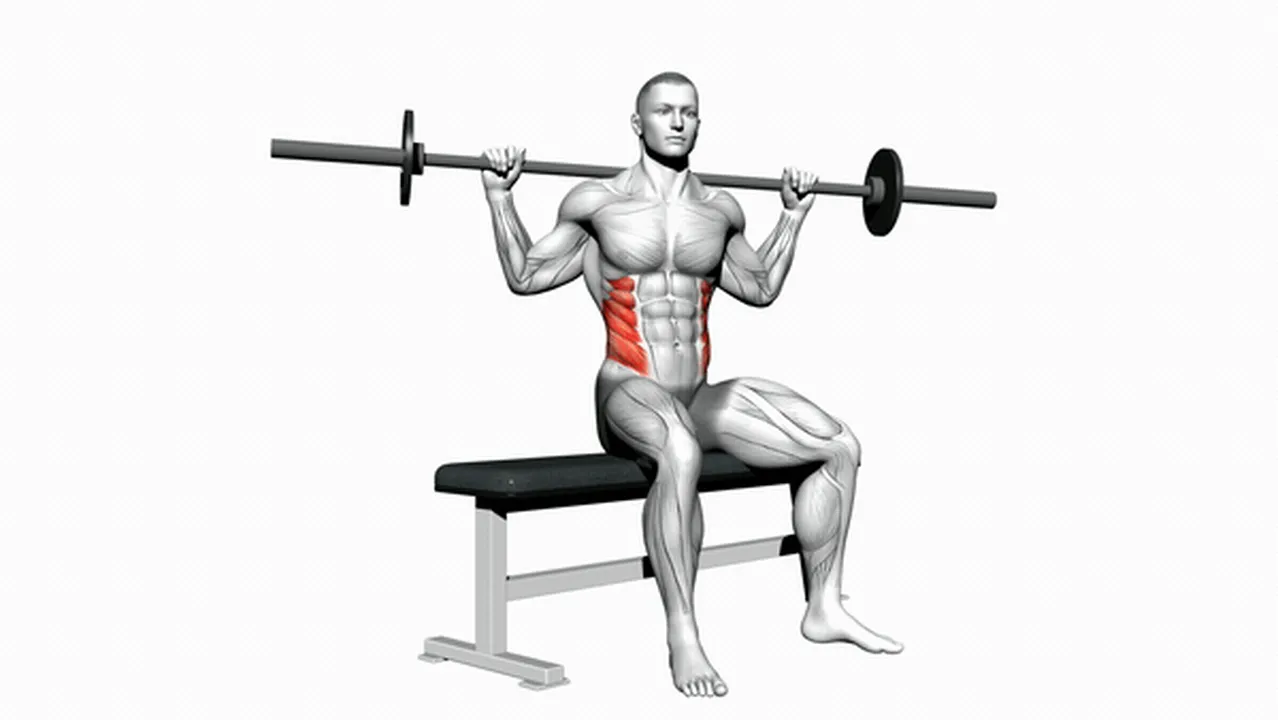 Alternatives to the Barbell Seated Twist Image