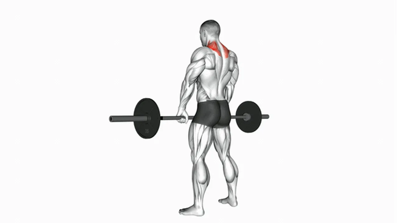 What are the benefits of barbell shrugs? Image