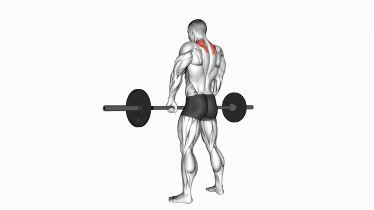 How to do barbell shrugs? Image