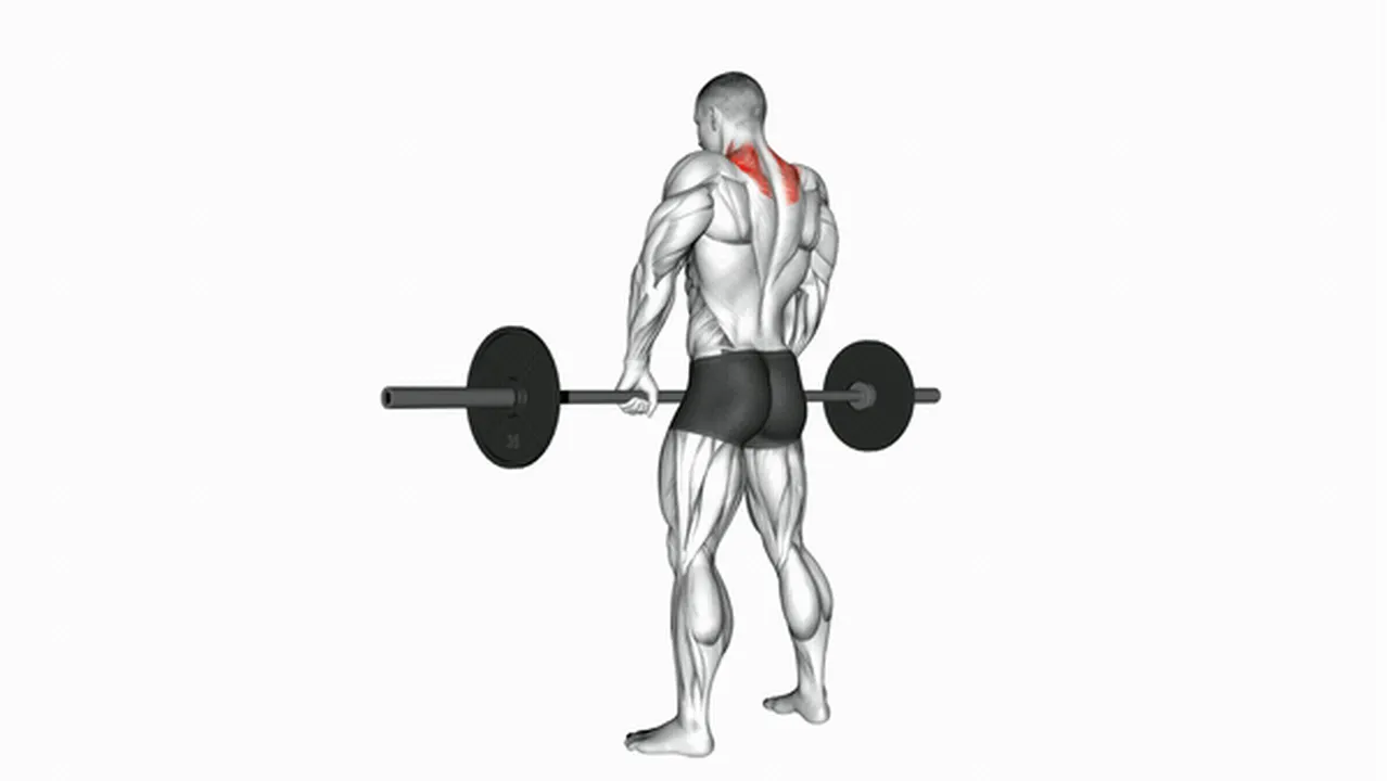 Common barbell shrug variations Image