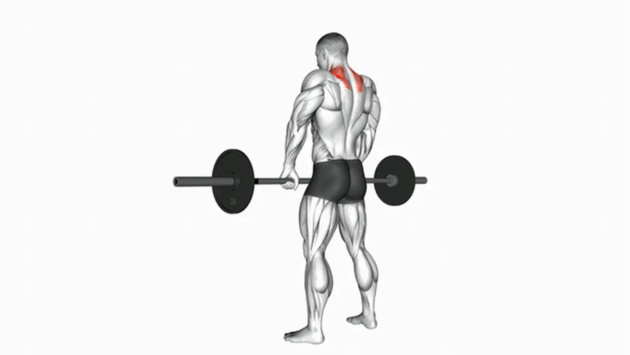 Alternatives to barbell shrugs Image