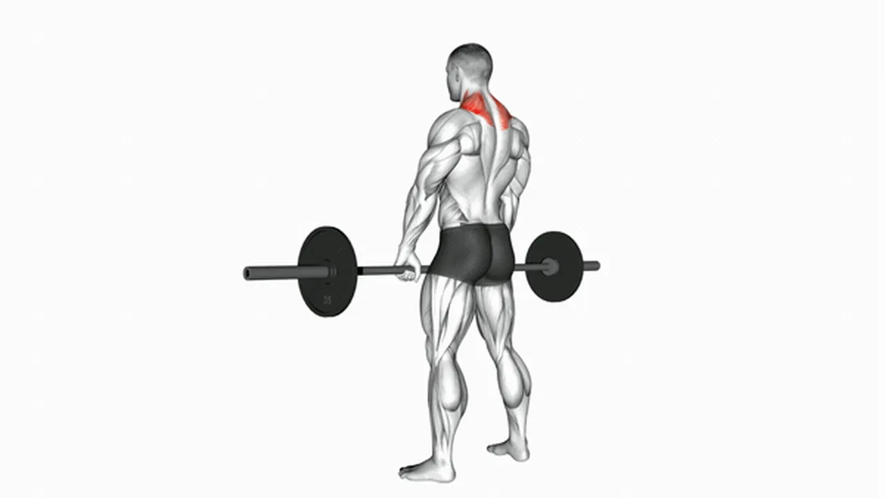 Common mistakes during barbell shrugs Image