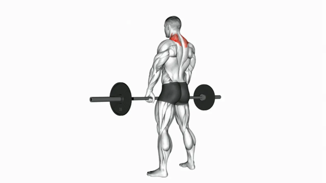 Barbell Shrugs