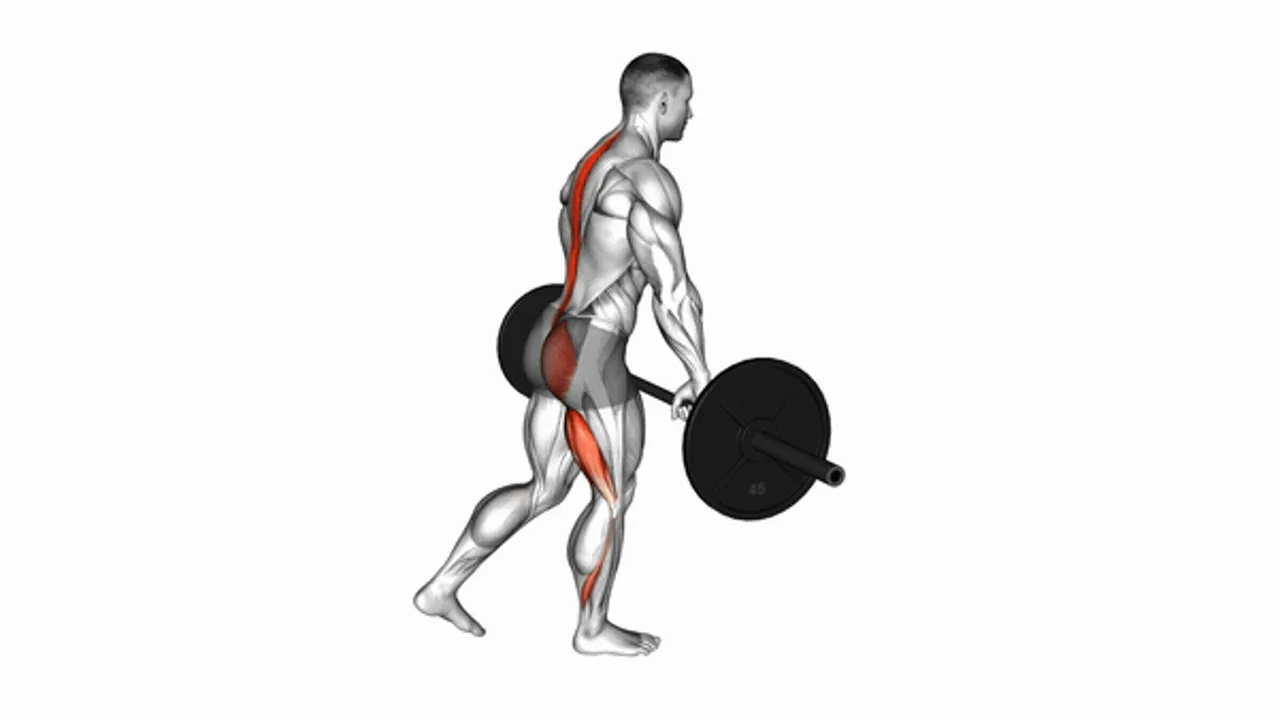 Barbell Single Leg Deadlift