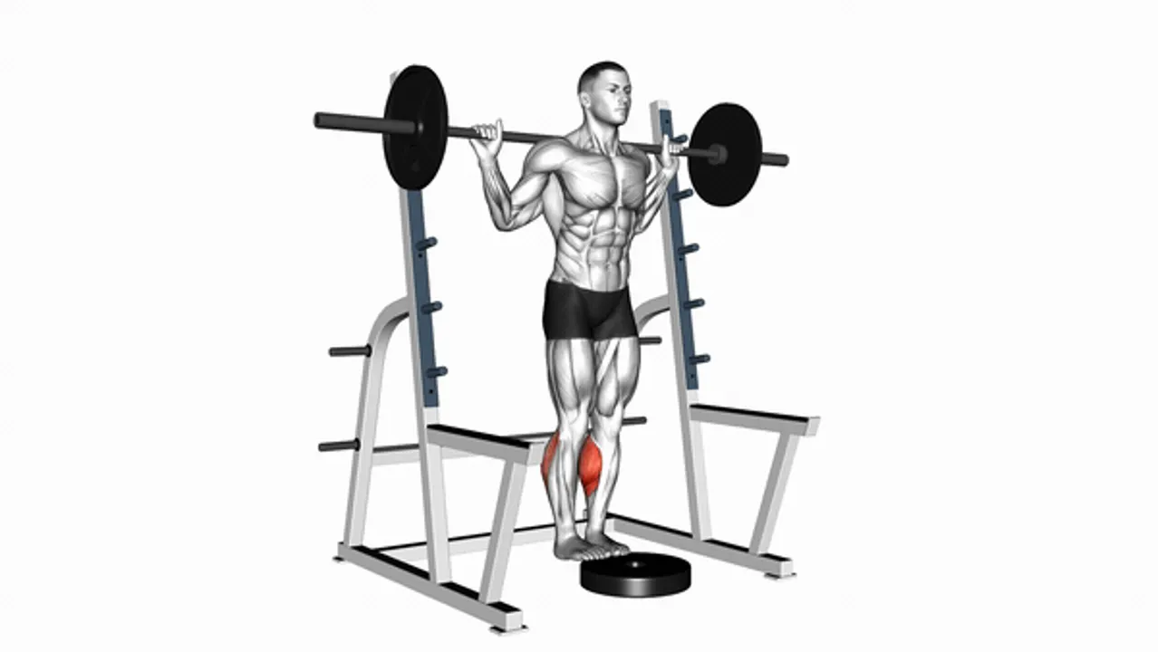 Barbell Standing Calf Raise