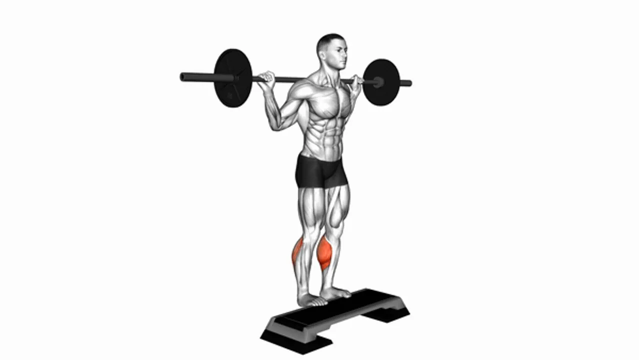 Barbell Standing Calf Raises