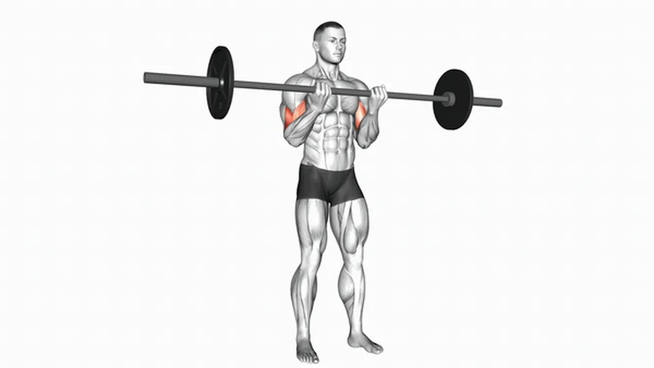 How to do the Barbell Standing Close Grip Curl? Image