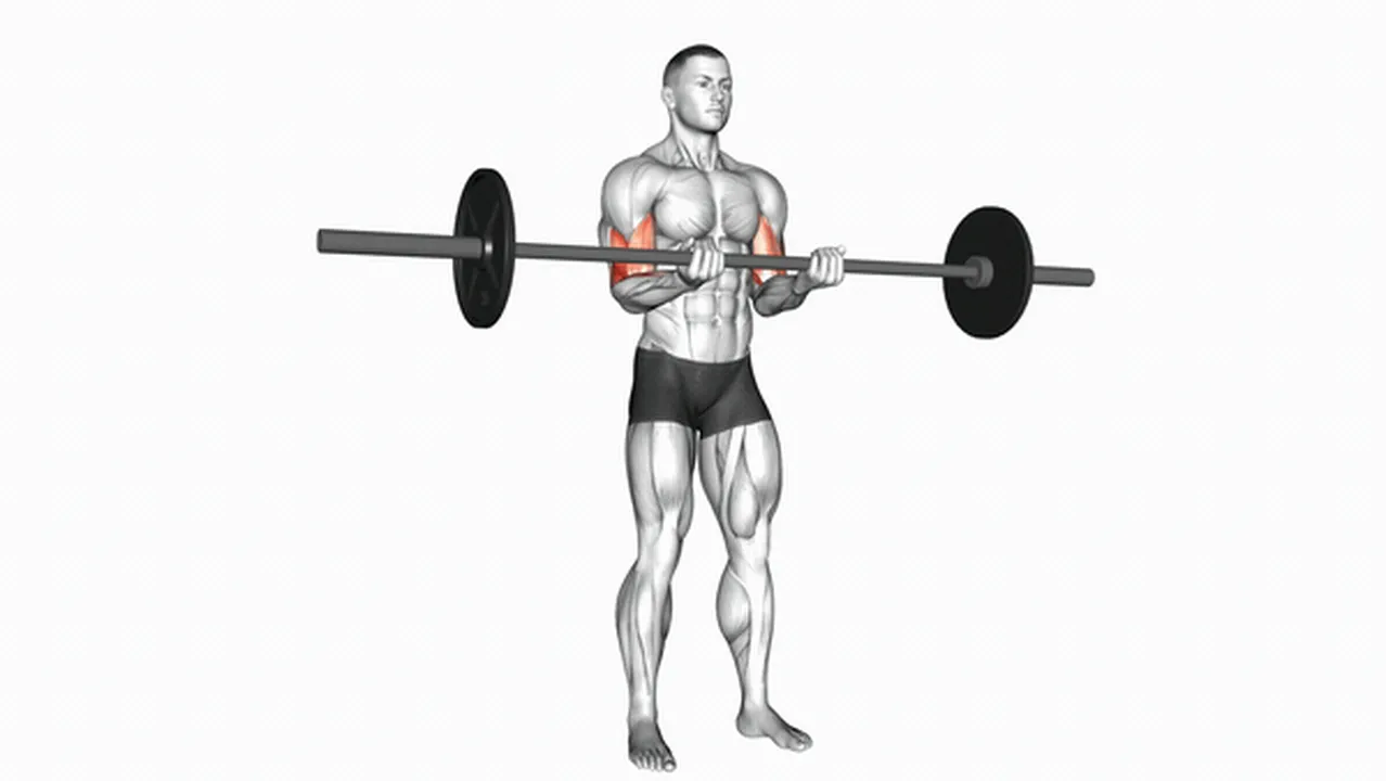 Common Barbell Standing Close Grip Curl variations Image