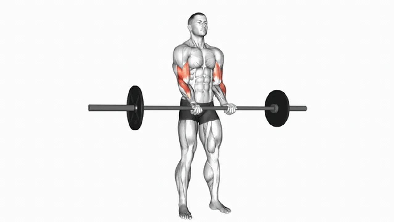 Common mistakes during Barbell Standing Close Grip Curls Image