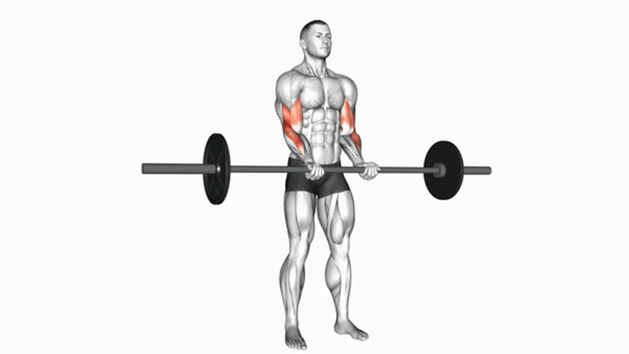 Barbell Standing Close Grip Curl